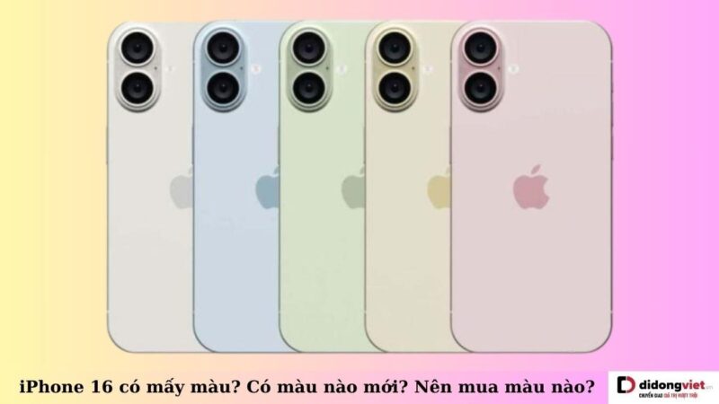Màu xanh dương và màu hồng trên iPhone 13 tươi sáng và trẻ trung